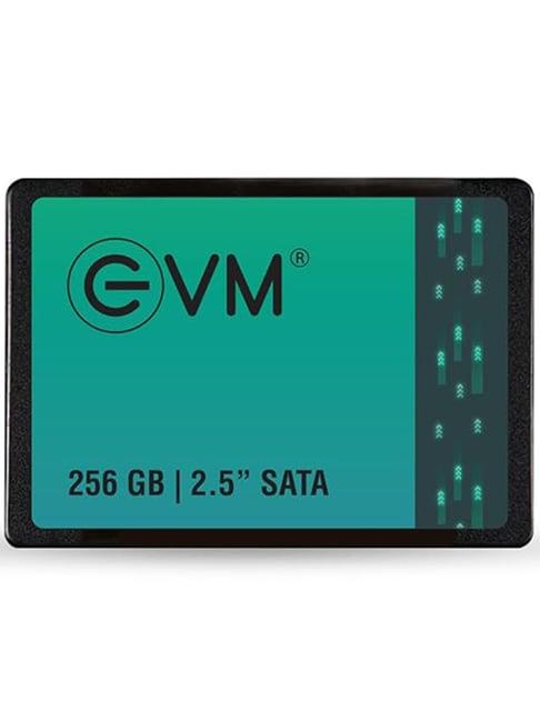 EVM EVM25 256GB 2.5 inch SATA Internal SSD (Black)