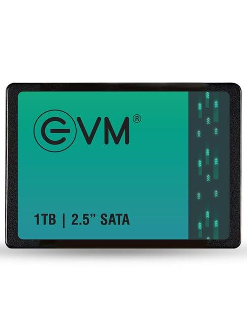 EVM EVM25 1TB 2.5 inch SATA Internal SSD (Black)