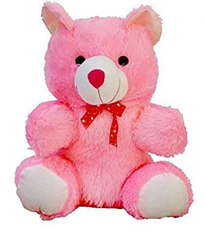 HUG 'n' FEEL SOFT TOYS Long Soft Lovable hugable Cute Giant Life Size Teddy Bear. (2feet, Pink)