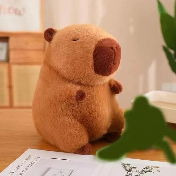 HUG 'n' FEEL SOFT TOYS Capybara 25cm Plush Soft Toy Stuffed Animal Ultra Soft Huggable and Cuddly Gift for Kids Girls Boys Perfect for Birthday Valentine's Day