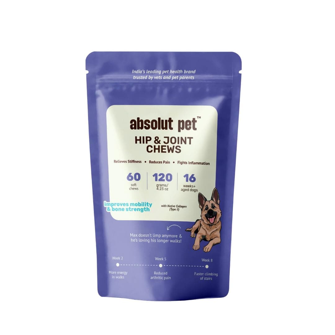 Absolut Pet Hip & Joint Chews for Dogs, Glucosamine & Mobility | 60 Chews
