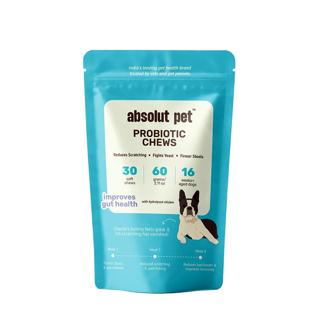 Absolut Pet Probiotic Gut Health Chews for Dogs | 30 Chews