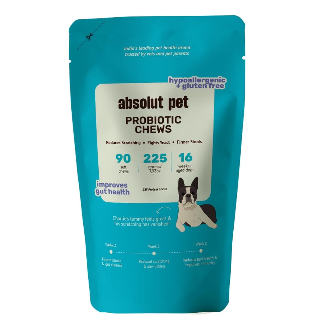 Absolut Pet Probiotic Gut Health Chews for Dogs | Hypoallergenic 90 Chews