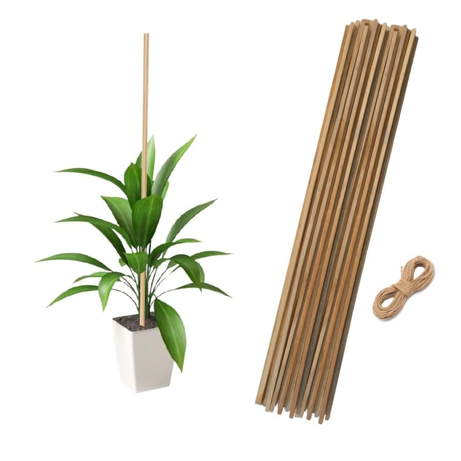 EXALT® 24 pcs Natural Teak Wooden Support Sticks for Indoor and Outdoor Gardening Wooden Sticks for Decoration Size 3 Feet