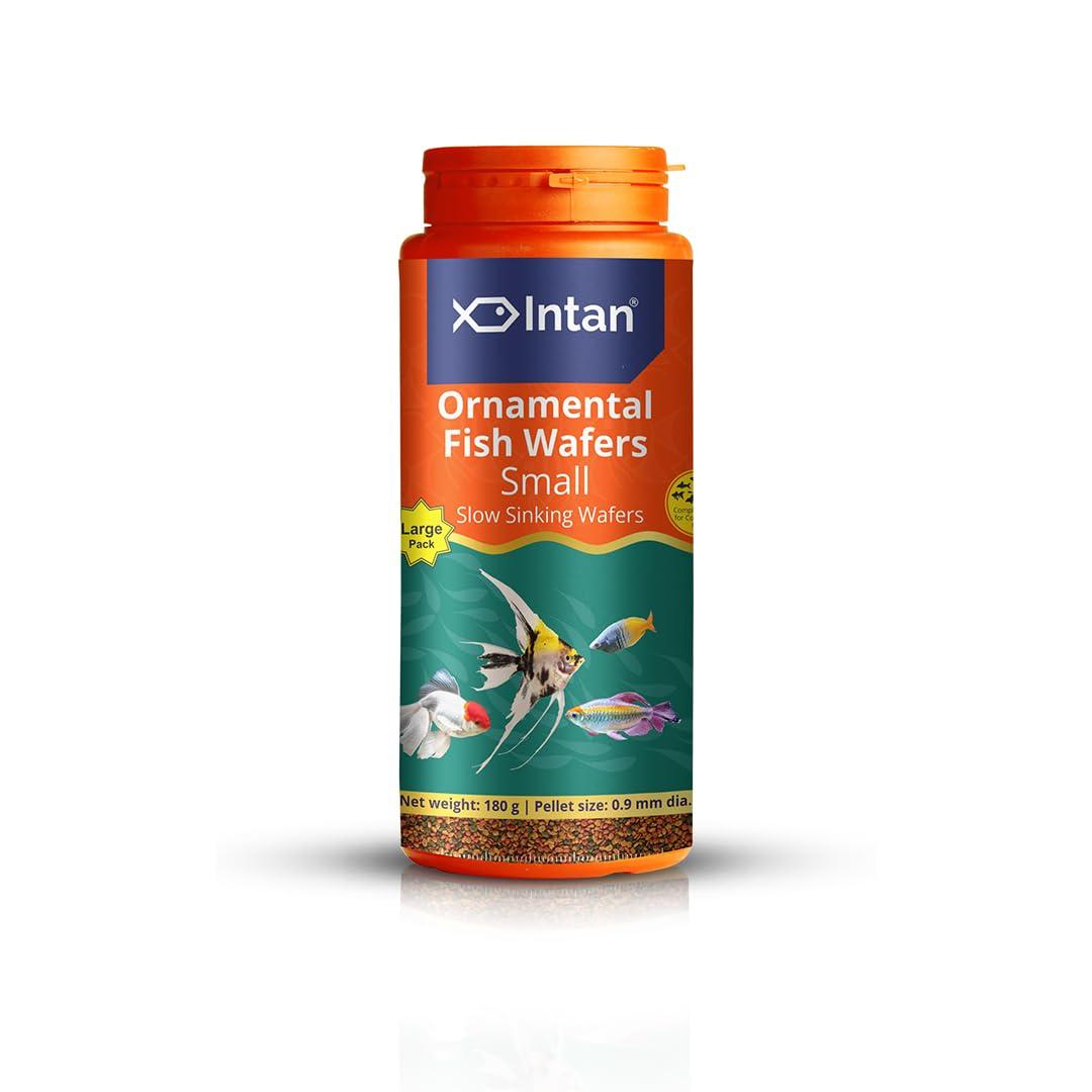 Intan Ornamental Fish Wafers (0.9mm Small Slow Sinking) | 180gm - Highly Nutritious Ornamental Fish Food for Angels, Gouramis, Goldfish, Barbs & Rainbows | Growel Feeds