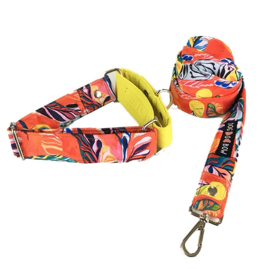 Dog-O-Bow Martingale Collar with Leash | Adjustable Collar & Matching Leash Set (Large)