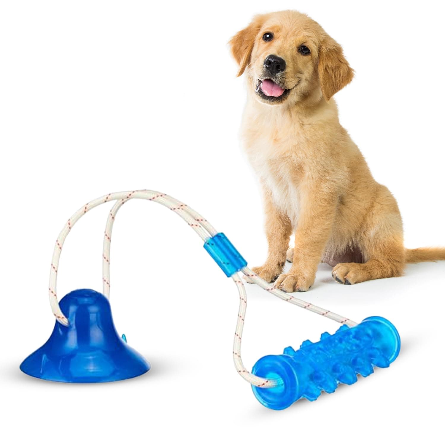 amazon basics Tug of War Interactive Dog Toy | Blue | Suction Cup | Chew Grip with Rope | Stimulating & Interactive Ball for Teeth Cleaning (T739)