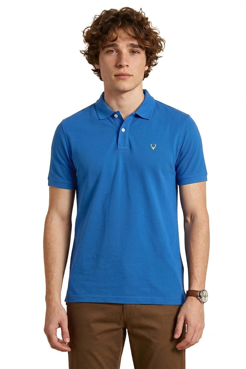 Allen Solly Men's Casual Polo Shirt (AMKP317G04252_XL)
