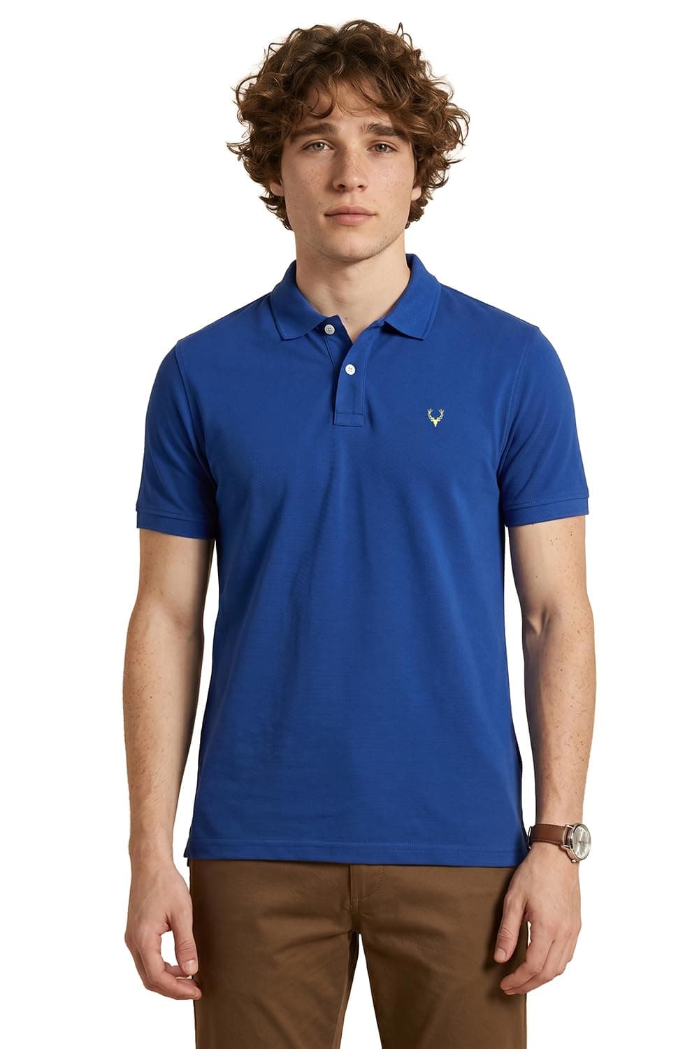 Allen Solly Men's Polo (AMKP317G04238 XXL)