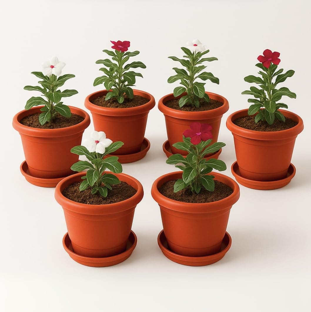 Kraft Seeds 10 Inch Pack of 6 Flower Pots for Garden with Bottom Plate & Drainage Hole,Plastic Pot for Plants,Indoor & Outdoor- Planters for Balcony,UV Treated Gamla for Plants,Round Plant Pot,Red