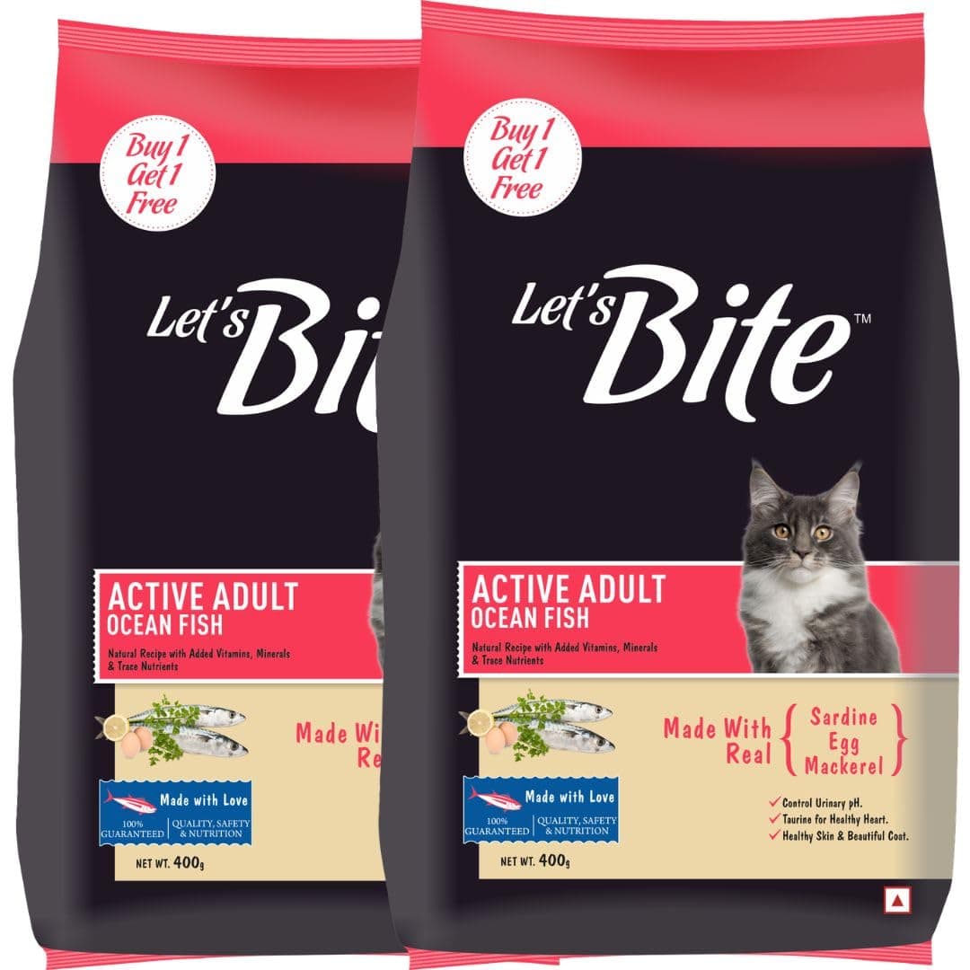 Let's Bite Active Adult Dry Cat Food (400g + 400g), Total 800g Pack | Ocean Fish Flavour | Healthy Skin & Shiny Coat | Taurine for Heart