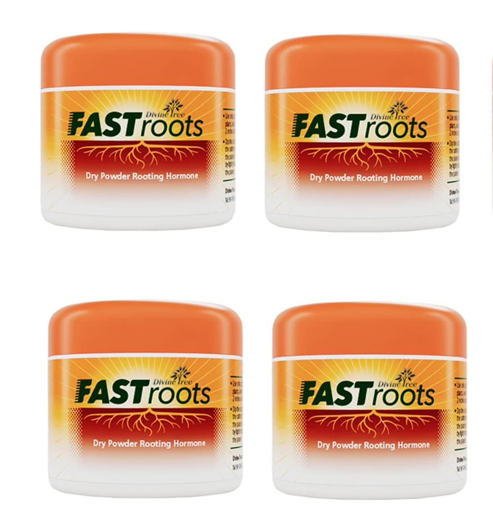 DIVINE TREE FASTROOT Rooting Hormone Powder for Plants Cuttings 50gm(Pack of 4) – Root Booster for Soft, Semi & Hardwood | Rooting Powder for Propagation, Grafting, Cloning, and Transplant Success
