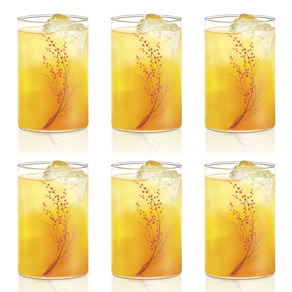 Borosil Vision 6pc Transparent Drinking Glass | Borosilicate Glass Tumblers for Water, Cold Drinks, Juice | Flame Proof, Microwave & Dishwasher Safe | for Daily use & Gifting (Cherry, 295 ml)