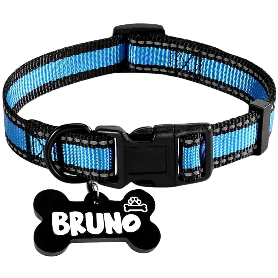 PAWPRO Reflective Nylon Dog Collar with Bone-Shaped ID Tag(Blue, Medium)