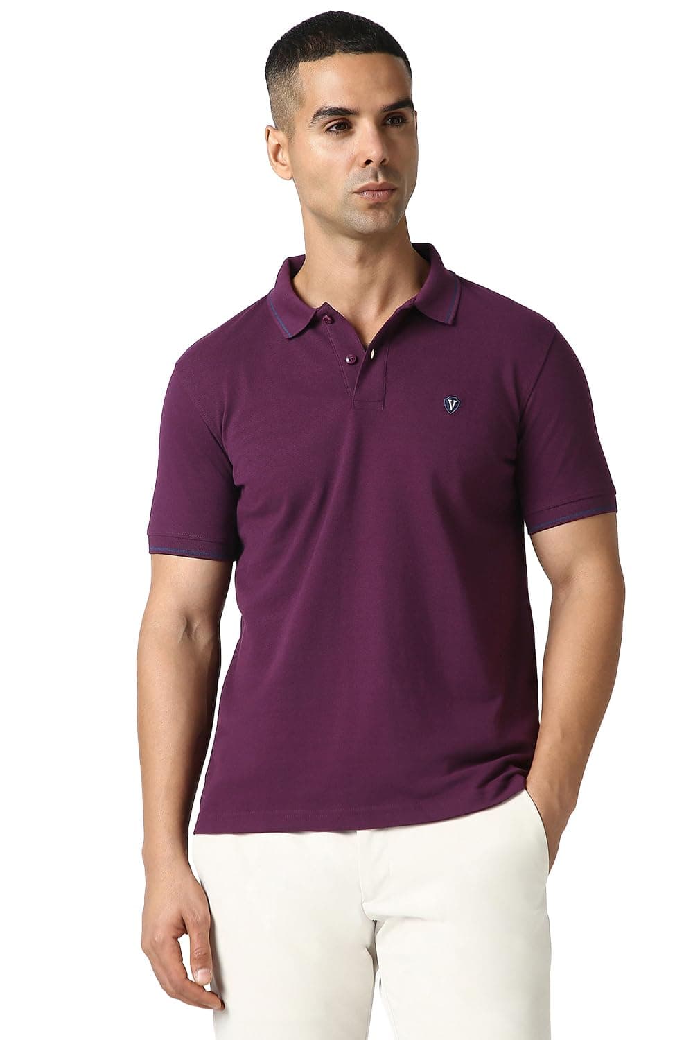 Van Heusen Men's Solid Regular Fit Polo (VSKPWRGF981010_Purple_XL)