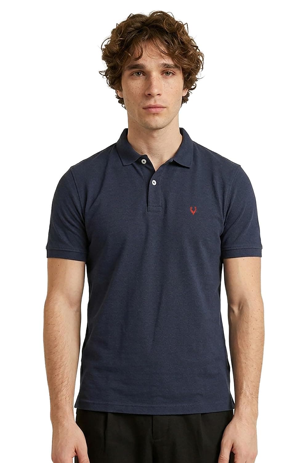 Allen Solly Men Regular Fit Polo (AMKP317G04250_Indigo Melange_XX-Large_Indigo Melange_2XL)