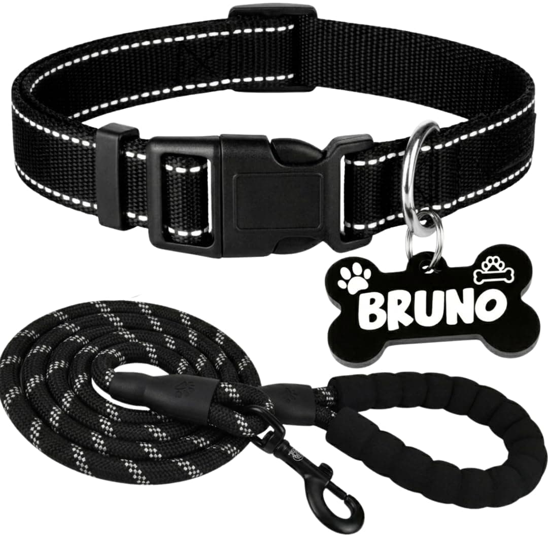 PAWPRO Reflective Dog Collar with 5-Foot Leash & Bone-Shaped ID Tag