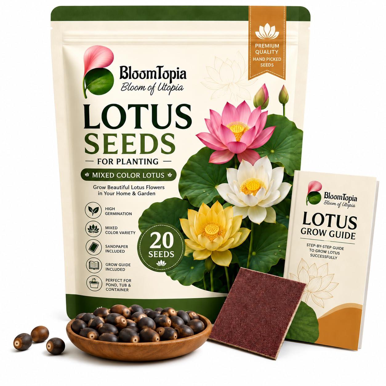 Lotus Seeds for Planting with Sandpaper | 20 Mixed Color Lotus Seeds | Kamal Gatta Beej | Lotus Flower Seeds for Home Garden, Pond, Tub & Water Bowl (20 Mixed Color Lotus Seeds)