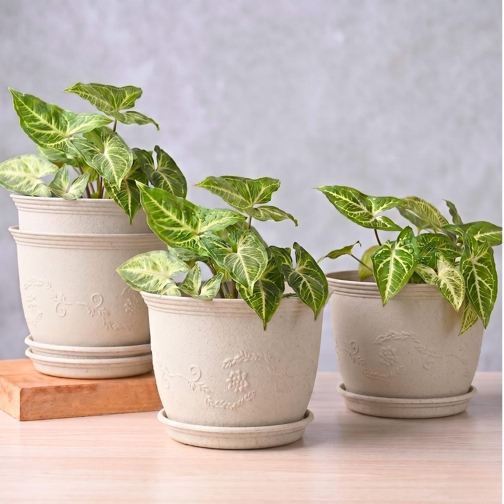 Eha Earth Friendly 8" Leafy Planter with Tray Made with Rice Husk, 4 Units