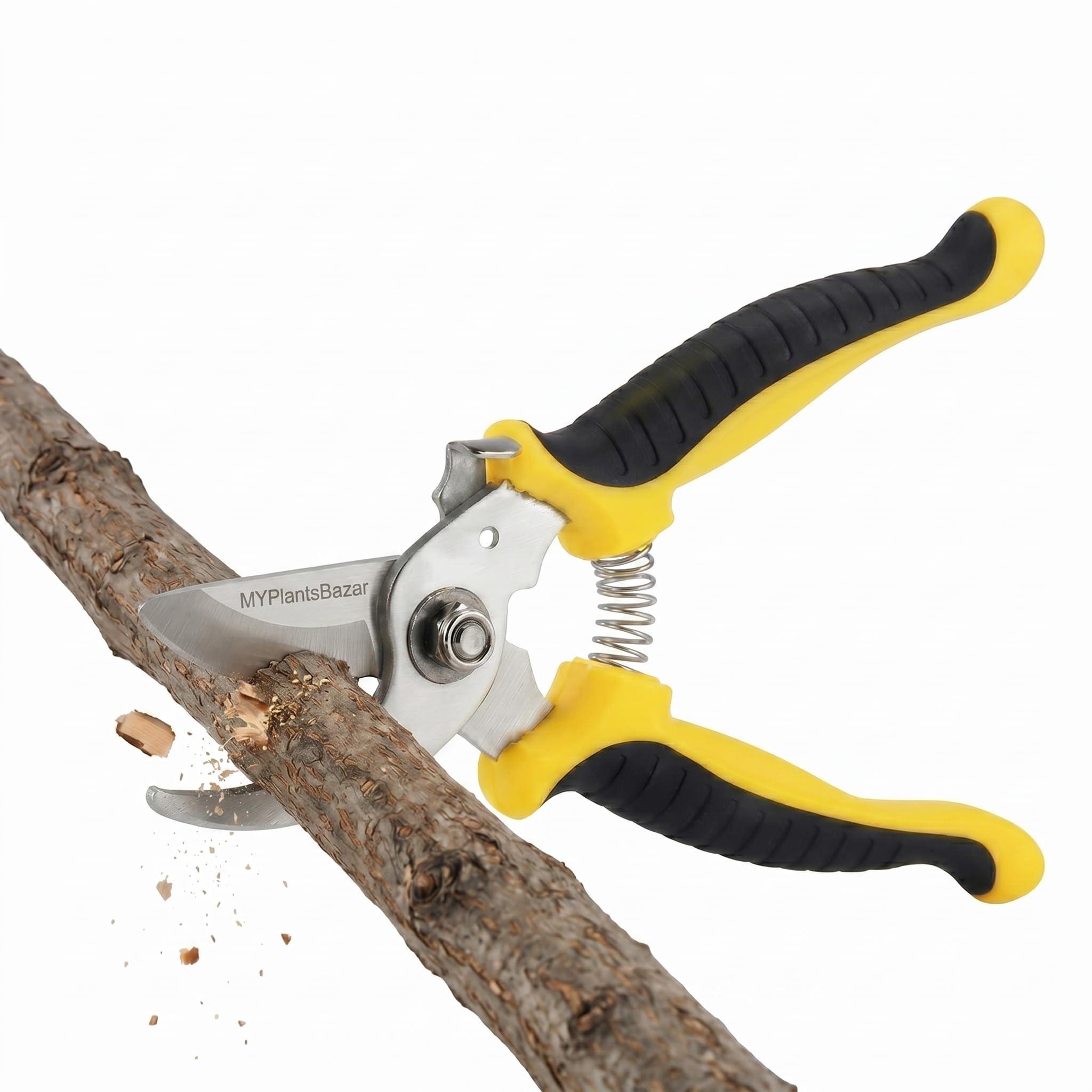 Plant Cutter for Garden Heavy Duty | Pruner Cutter for Plants | Gardening Scissor with Stainless Steel Blade | Branch Cutter for Plants & Trees | Garden Cutter Tool with Safety Lock (Random Color)