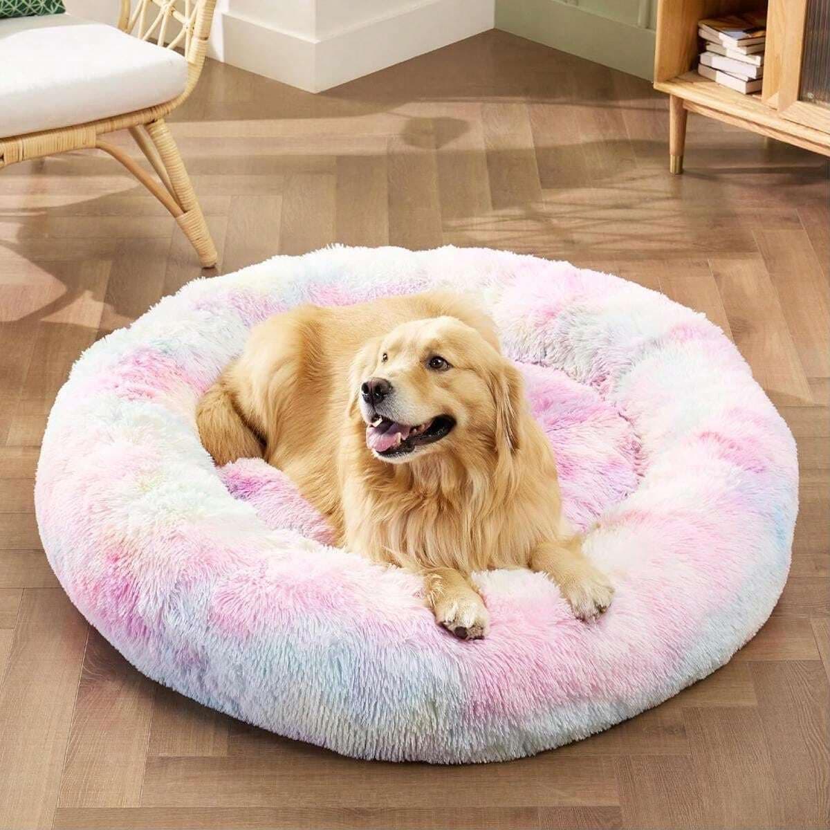 ZEXSAZONE Round Donut Pet Bed for Cats and Puppies Dogs Mat, Cozy and Plush, Raised Bedside Support, Both Sides Use Like 2 in One, Washable, Sizes for Small, Medium, and Large Pets. (Rainbow, Medium)