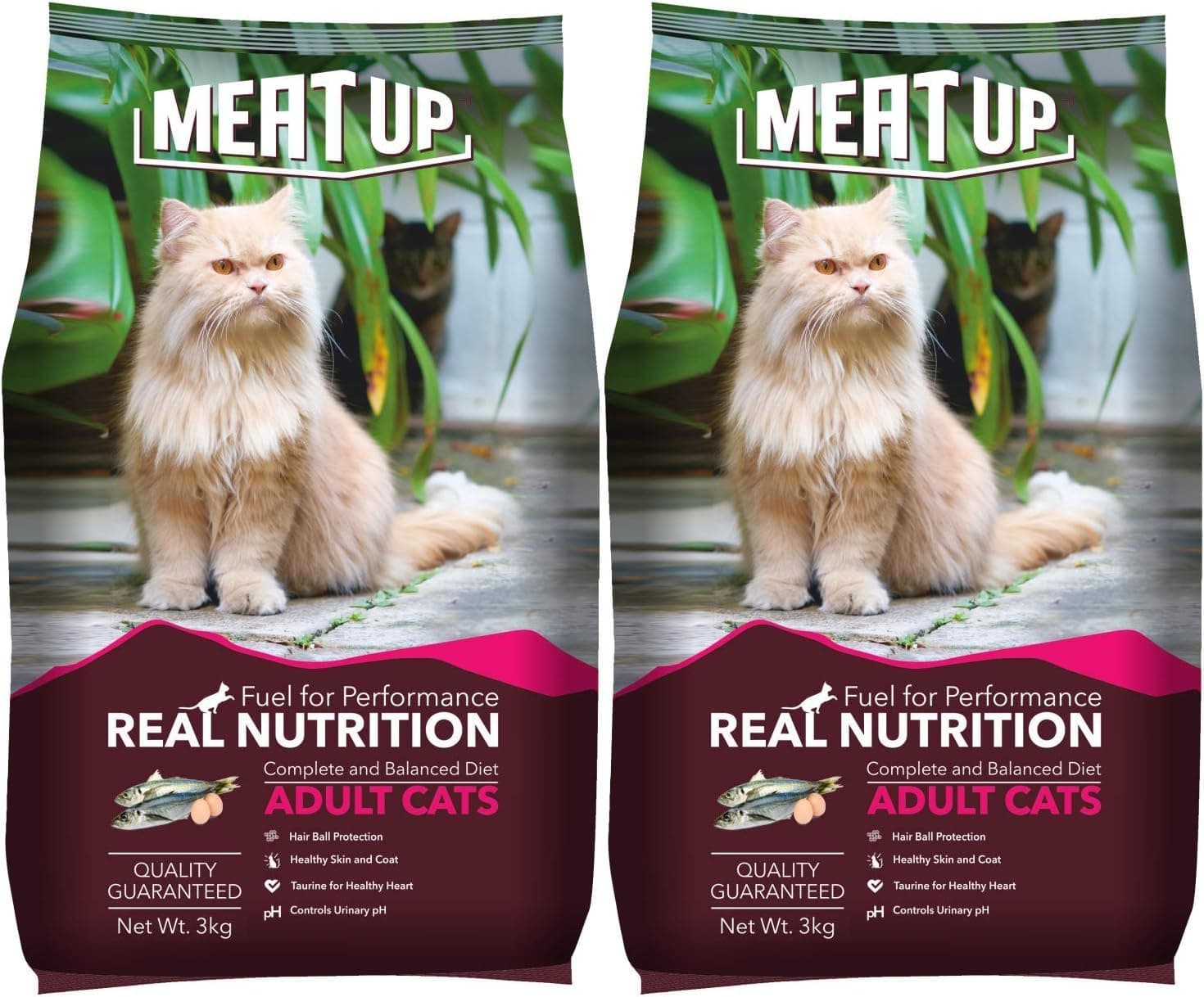 Meat Up Adult Dry Cat Food 3Kg + 3kg, Total 6Kg | Ocean Fish Flavour | Controls urinary pH | Taurine for Healthy Heart | Healthy Skin & Coat | Hair Ball Protection