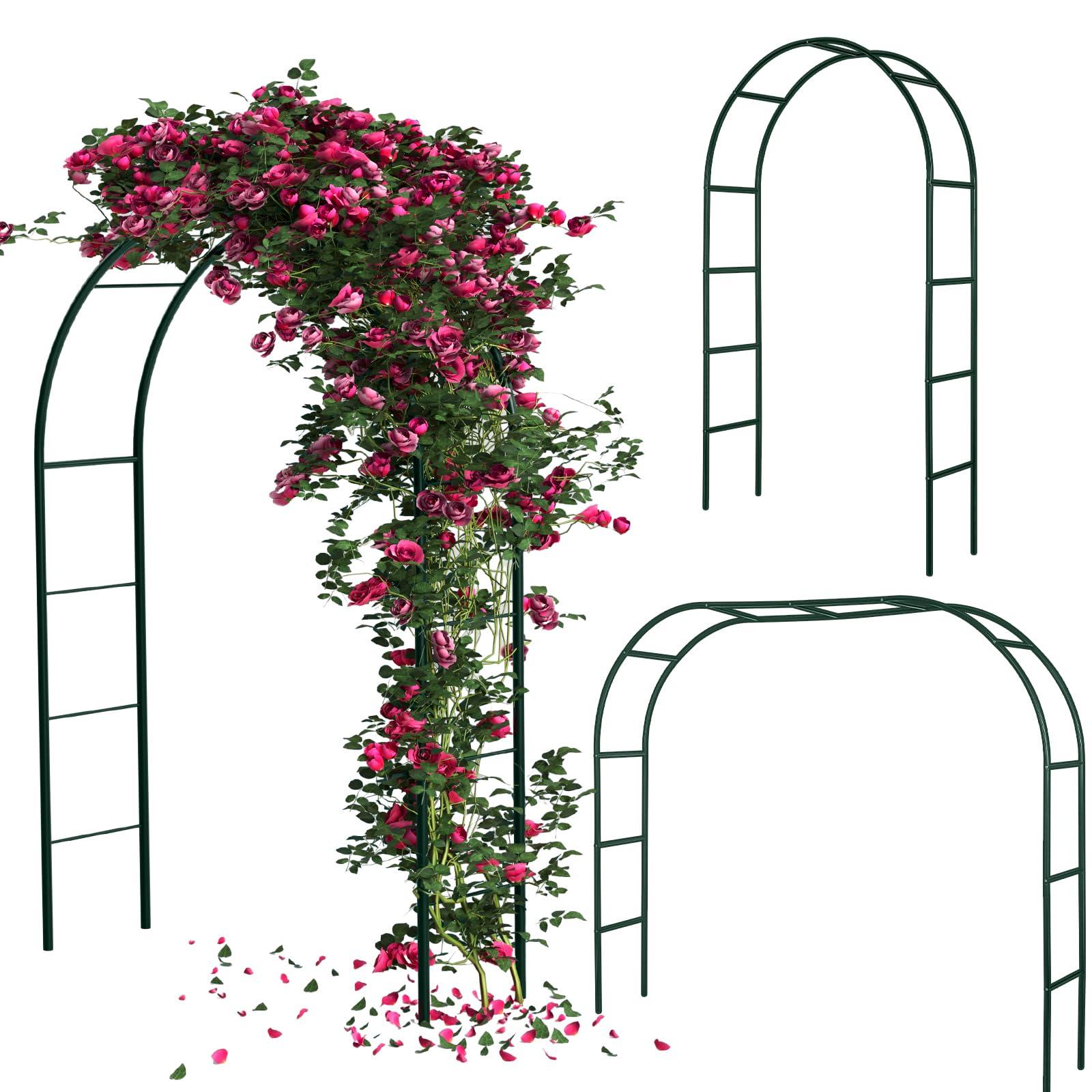 HASTHIP® Metal Plant Stands for Garden, Arch Trellis for Plants Flower