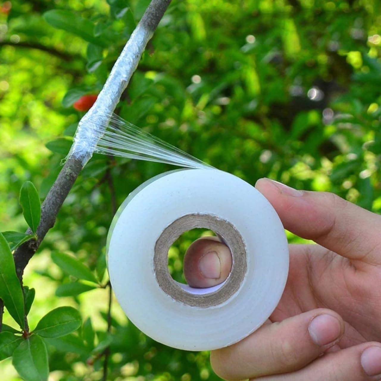 ecofynd 1 inch x 100meter Grafting Stretchable Tape for Nursery and Garden, Degradable Plant Repair Tapes Self-Grafting Clear Film for Fruit, Floral, Tree and Plants Grafting Film Tool (Pack of 1)