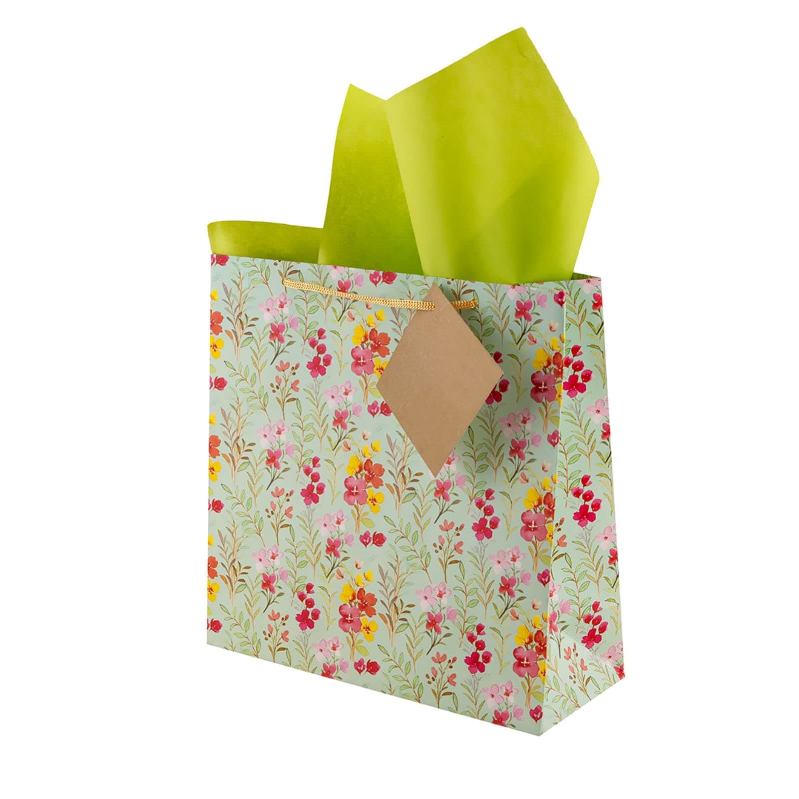 Birch & Co. Gift Bags - Paper Bags For Return Gifts - Paper Gift Bag - Medium Carry Bags For Gifting - Paper Bags Tissue And Thank You Card - Gift Covers - Pack Of 20, Sea Green