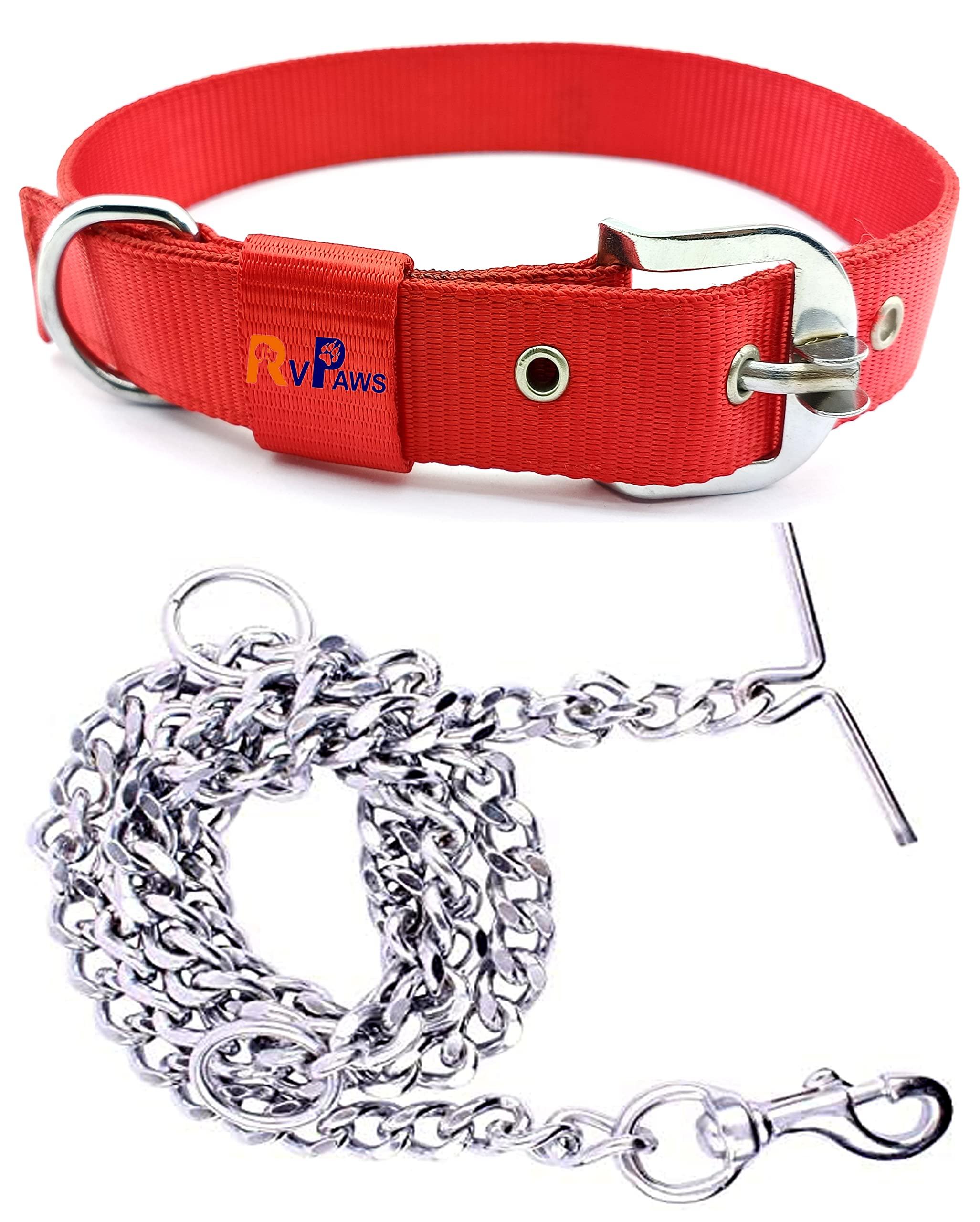 RvPaws Dog Belt Combo of 1.25 Inch Nylon Collar with Heavy Dog Chain 63 Inch Lengthy Dog Collar Chain (Red)