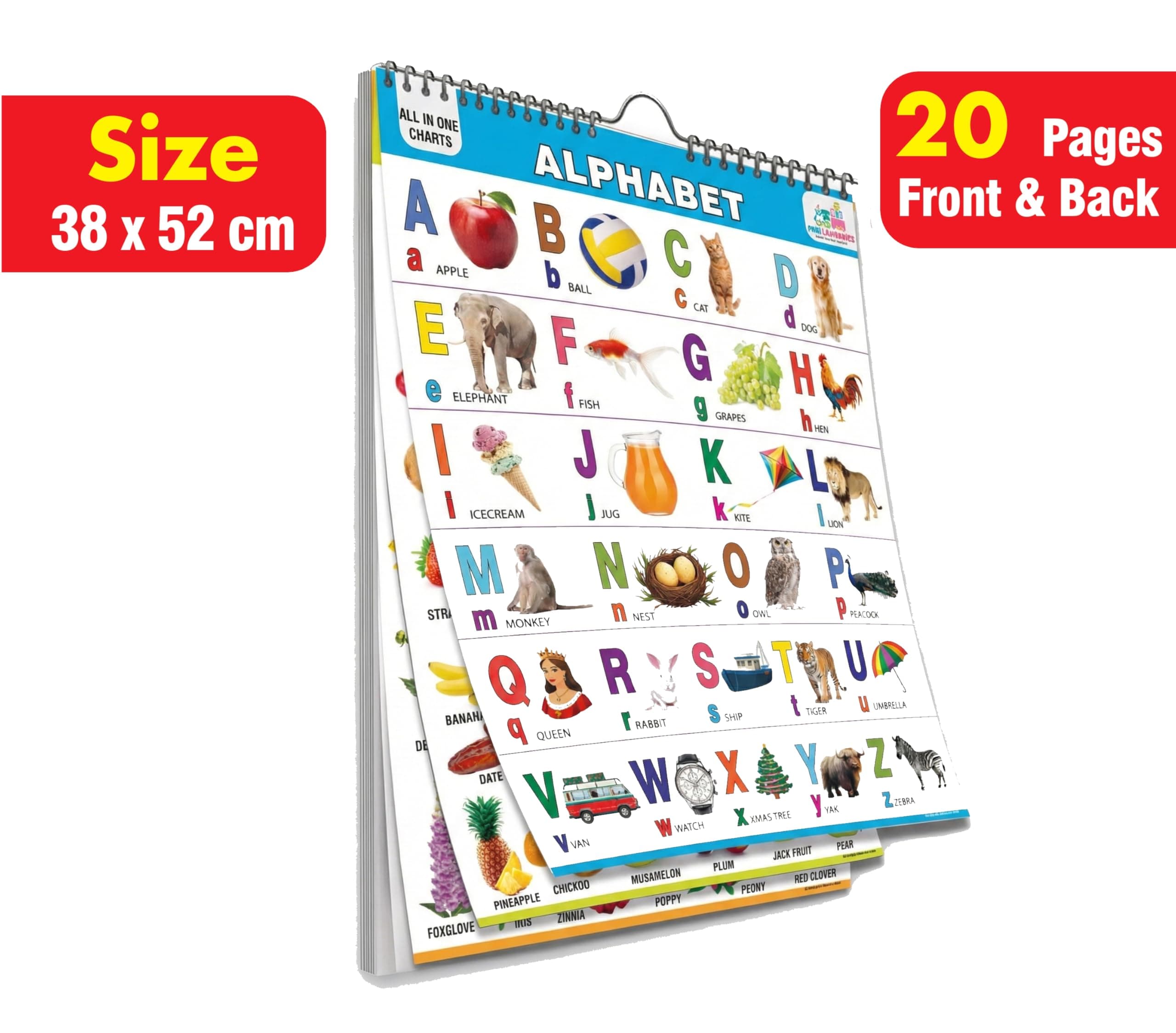 All in One English Chart for Kids | 20 Charts | Size: 38x52 cm | Children Spiral Picture Wall Chart | Alphabet Charts for Kids Learning | abcd Charts for Kids | Wall Hanging