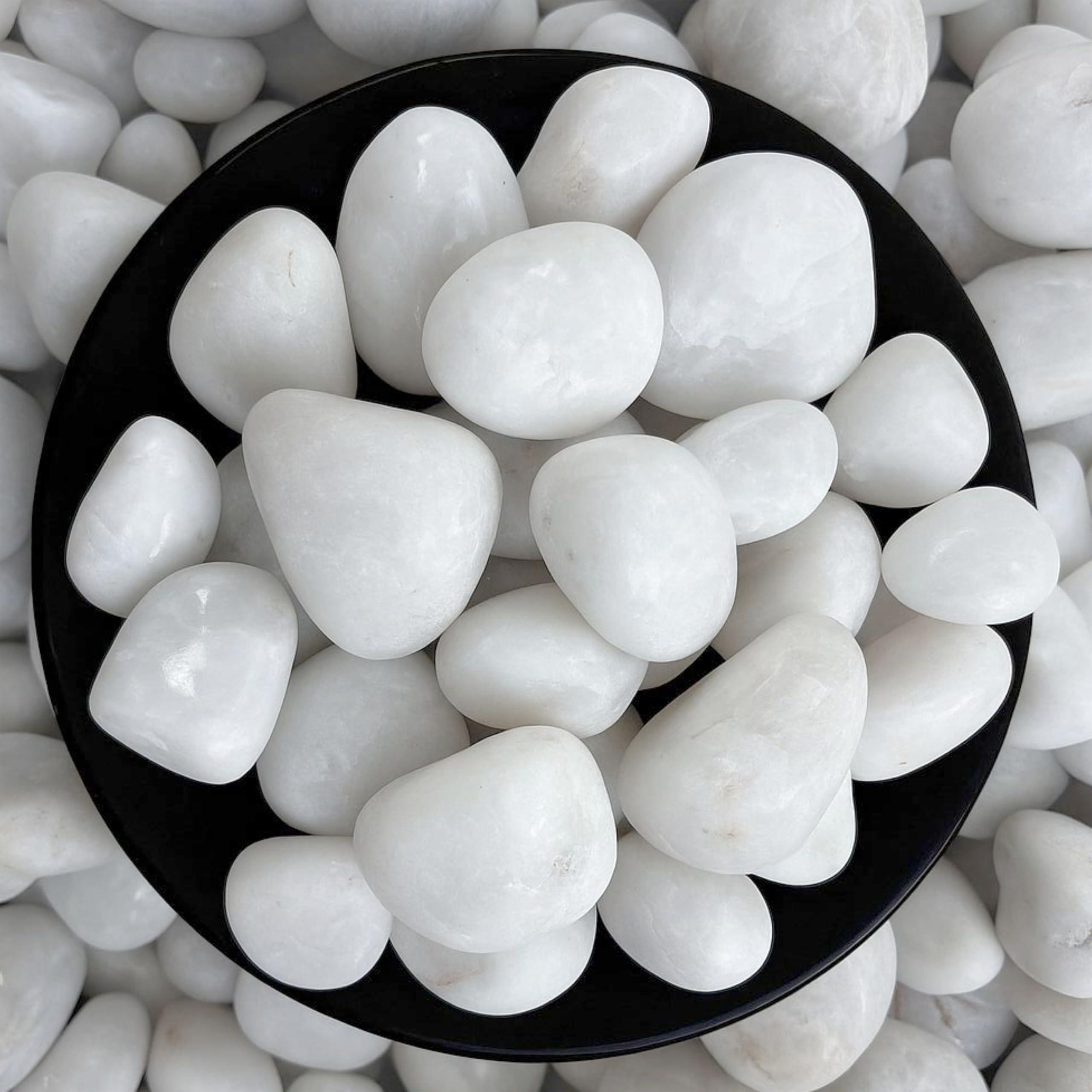 Foodie Puppies Polished White Pebbles Glossy Stones - (Large, 15Kg) (2.5cm - 4cm) | for Home Decorative, Vase Fillers, Aquarium Fish Tank, Garden River Rock Unplanted Substrate