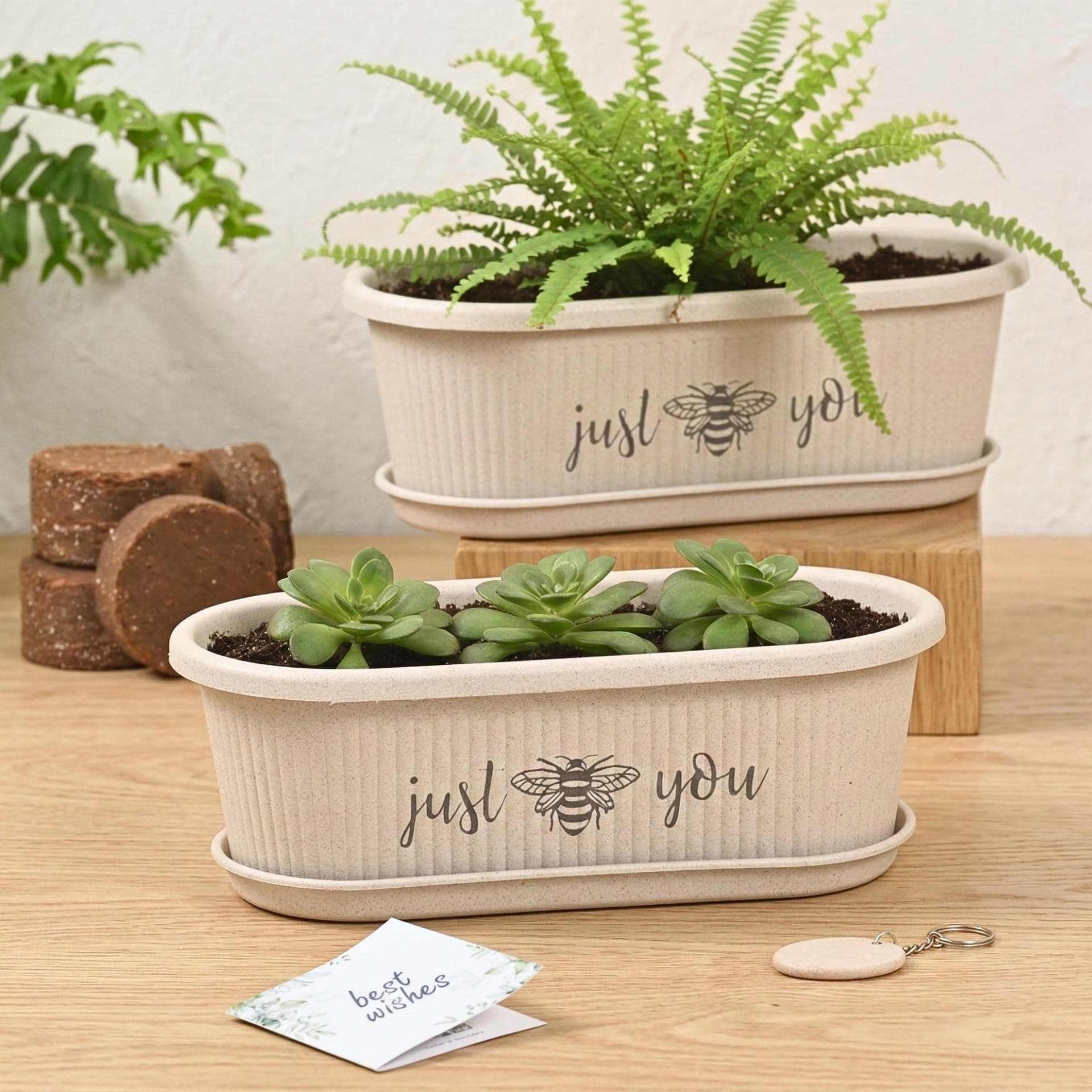 Eha Earth-Friendly Printed Regalia Planters for Home Decor | 12 Inch, Pack of 2 with Growmix | Plant Gifts Made with Rice Husk Biocomposite | Flower Pot for Living Room| Sand Castle