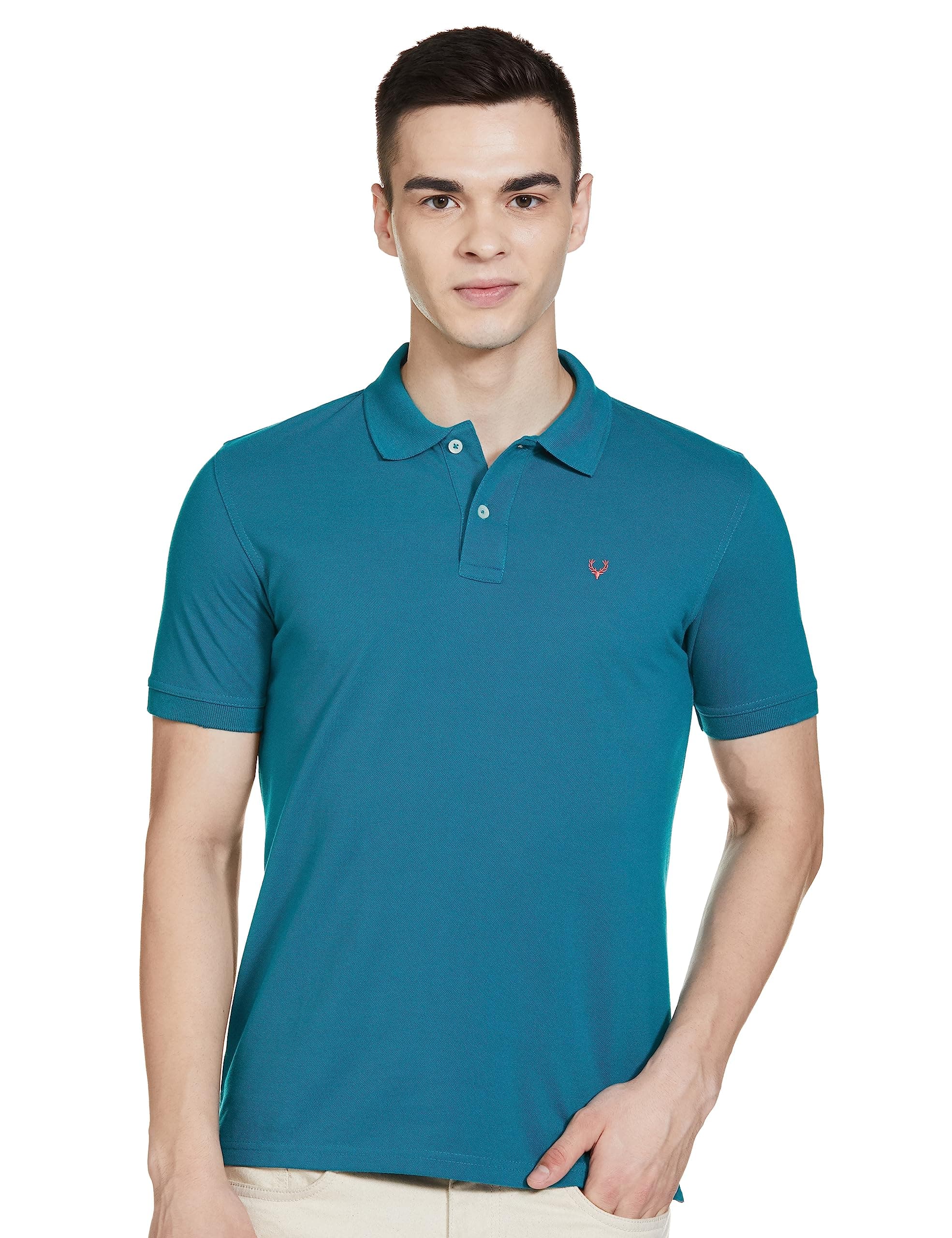 Allen Solly Men's Casual Polo Shirt (AMKP317G04248_2XL)