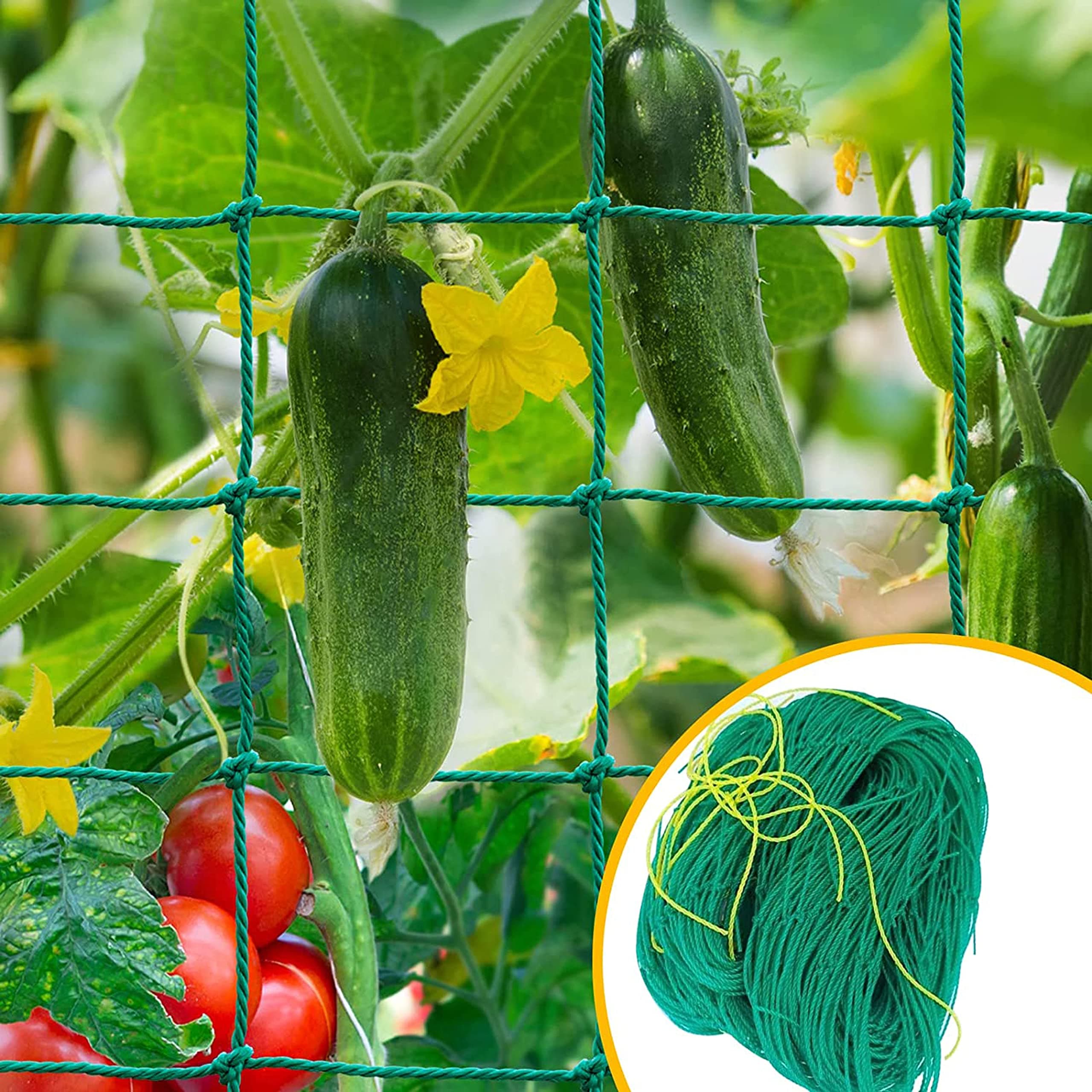 WNE Jaliwale Plant Climbing net & Creeper Net & Plant Trellis Net Plant Support Net Green Color for Agriculture and Gardening Net - 5Feet x 15Feet