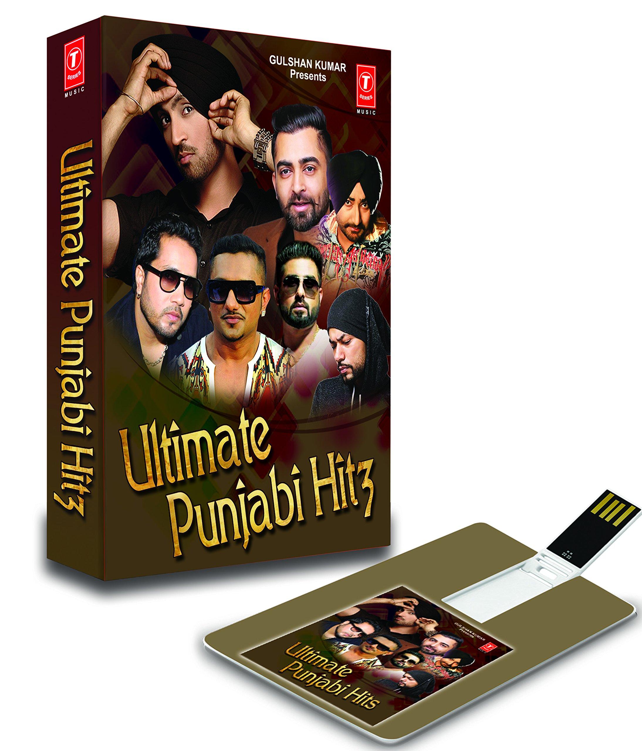 Ultimate Punjabi Hits (4 GB)