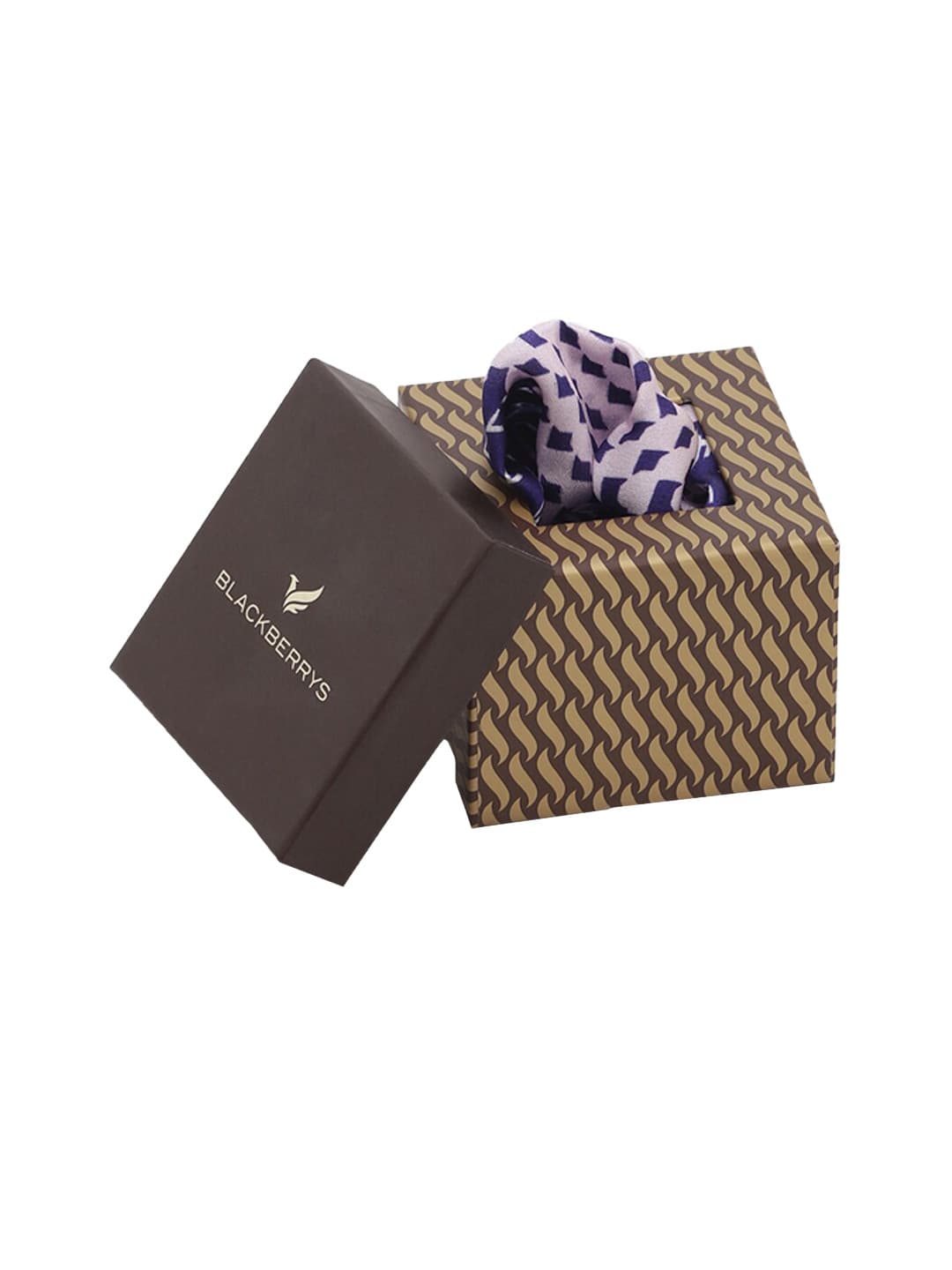 Blackberrys Men Printed Pure Silk Pocket Squares