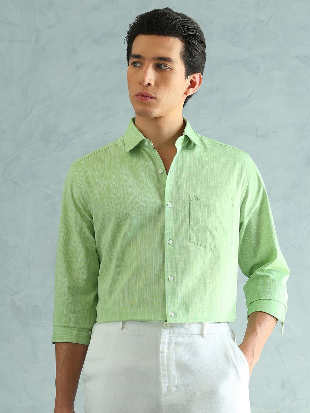 Arrow Men Slim Fit Smart Formal Shirt