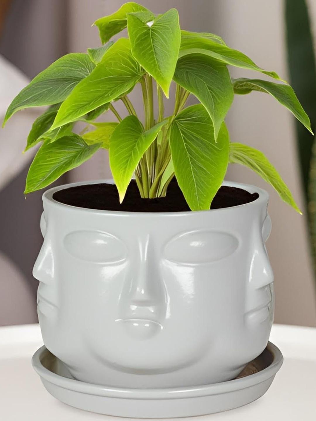 LASAKI White Textured Ceramic Planter With Plate
