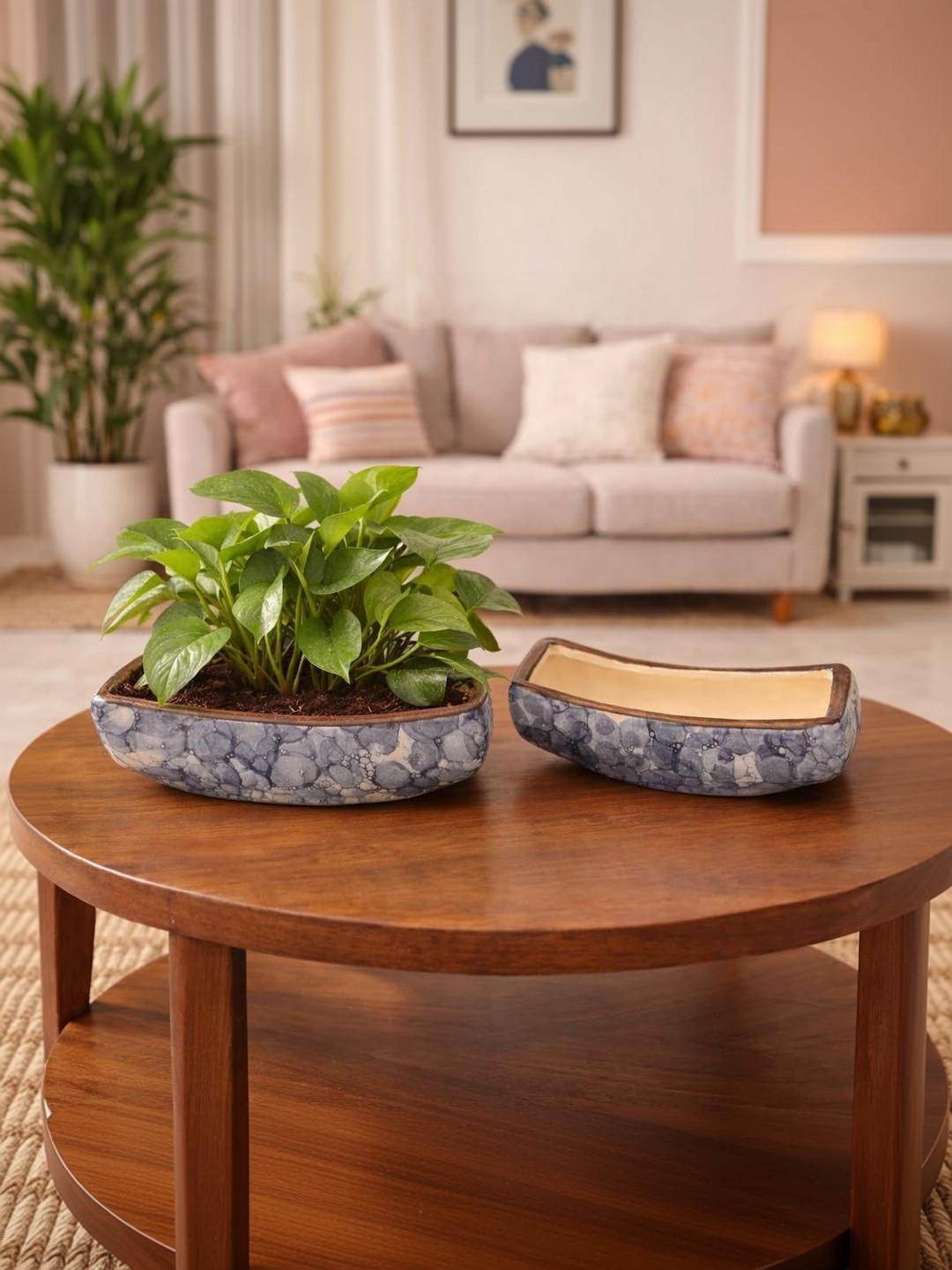 SAJAAO Blue Boat Shaped Planters