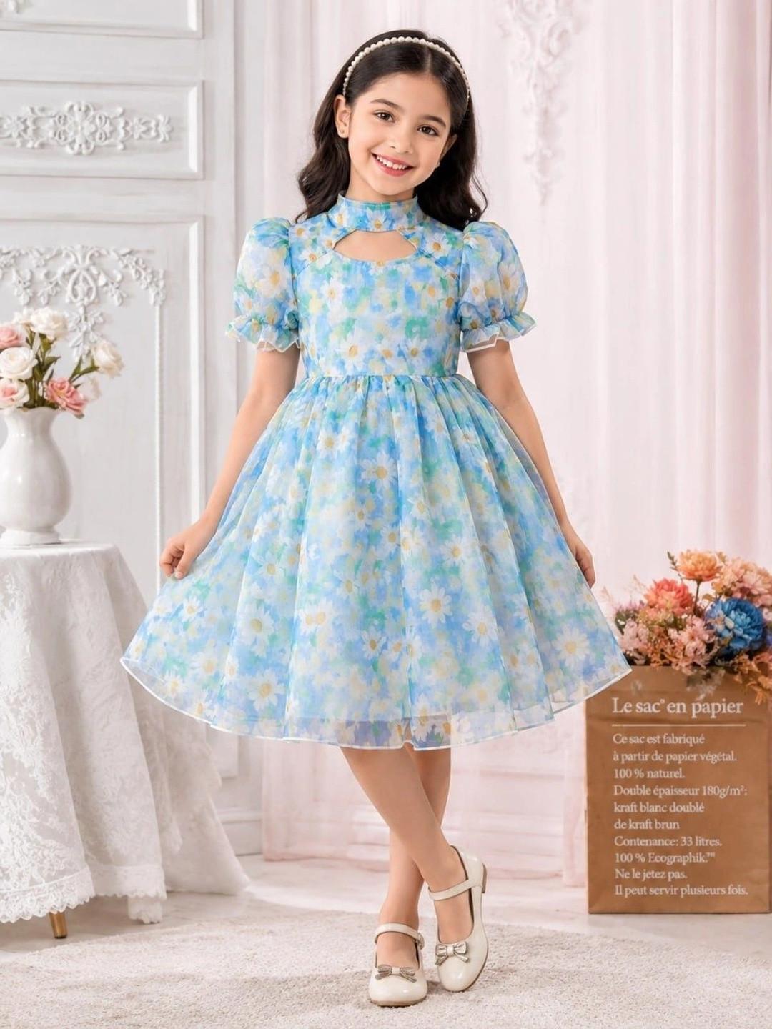 Pamberston Floral Print Keyhole Neck Puff Sleeve Ruffled Georgette A-Line Dress