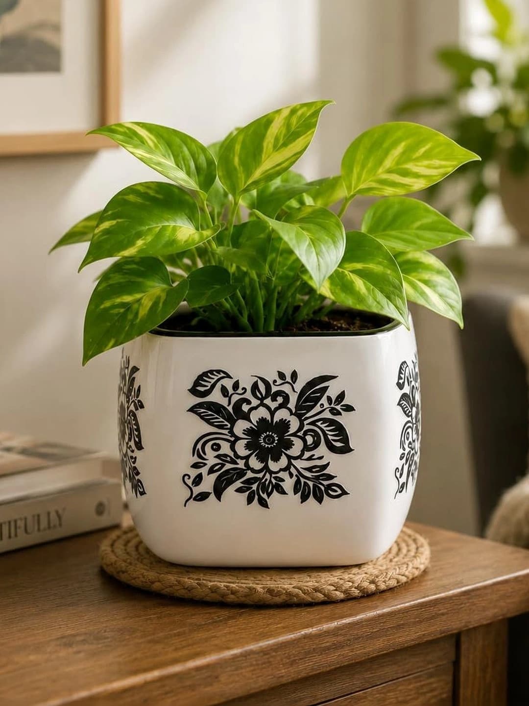 LASAKI Black & White Printed Ceramic Durable Round Planters
