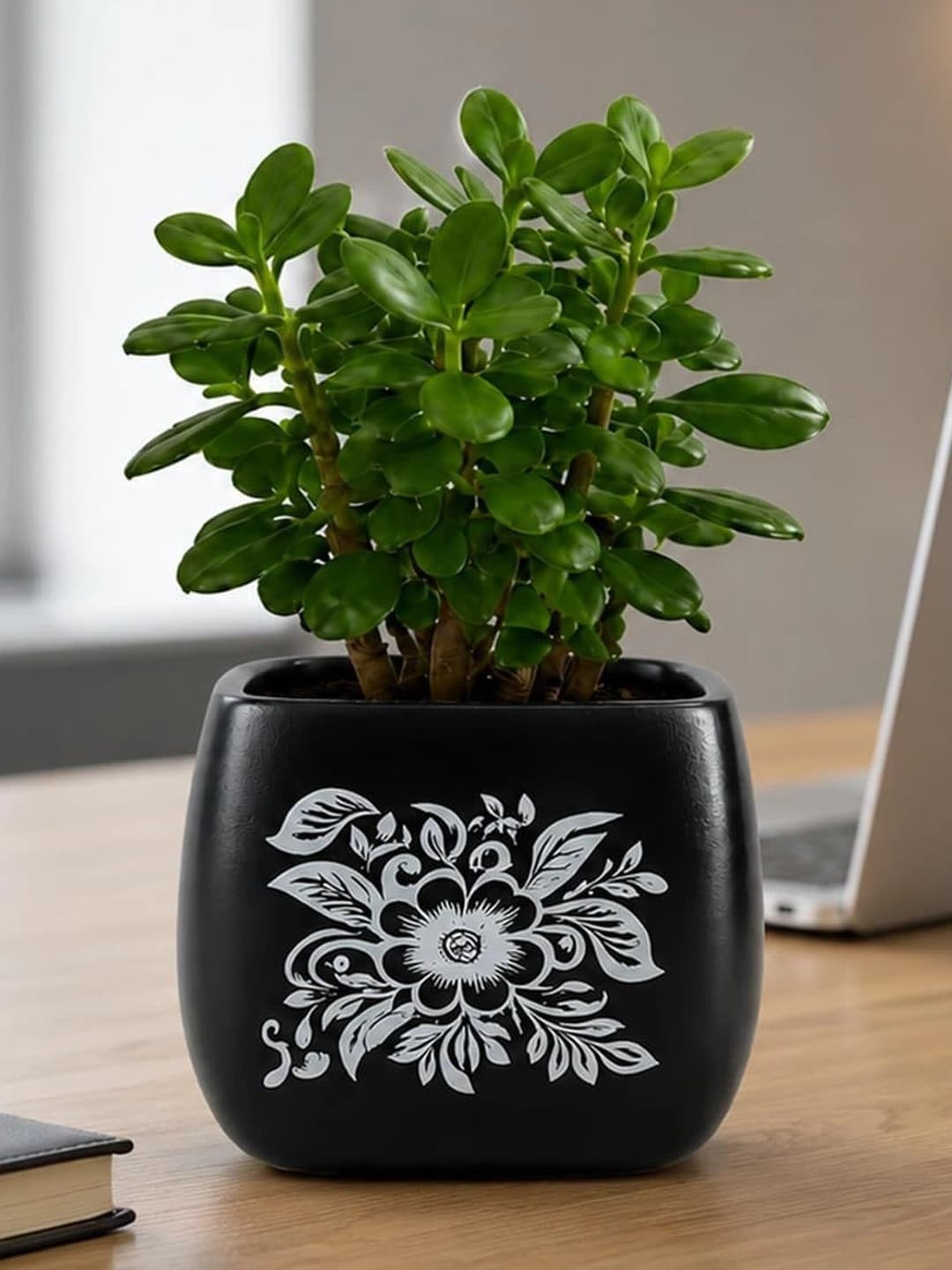 LASAKI Black & White Printed Ceramic Durable Round Planters