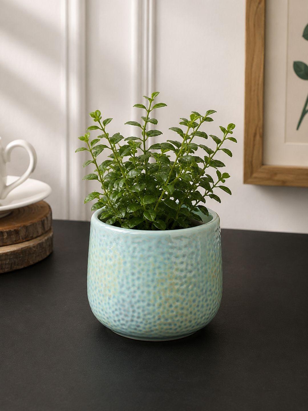 TAYHAA Teal Blue Textured Ceramic Planter