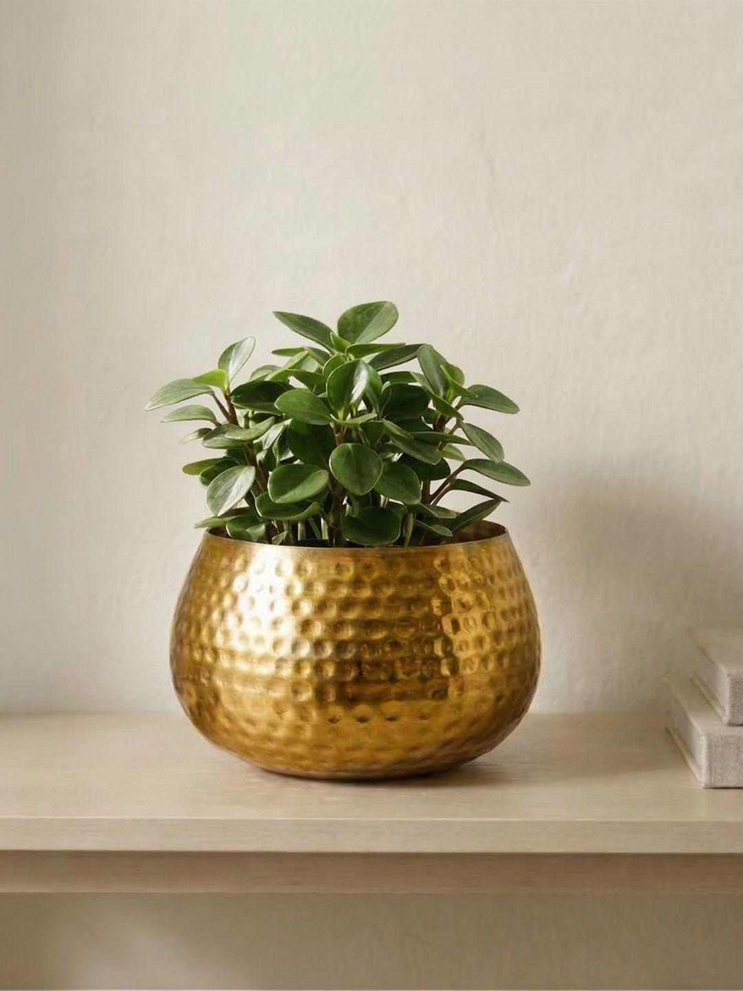 ExclusiveLane Golden Honeycomb 18.5 cm Decorative Metal Planter