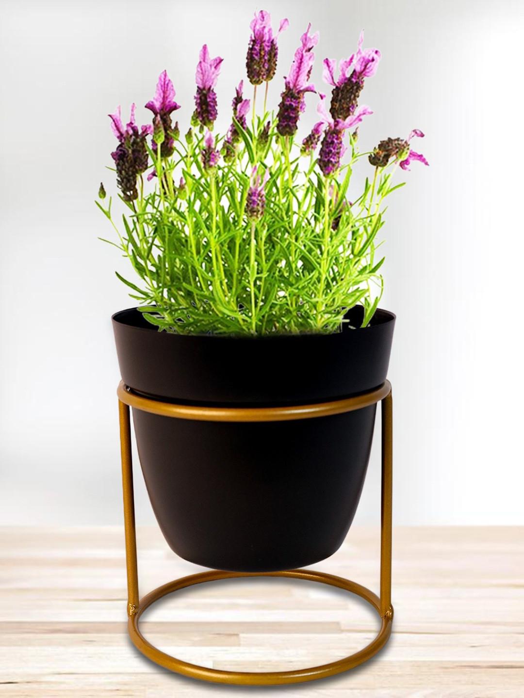 Nymph Black Flower Planters With Stand