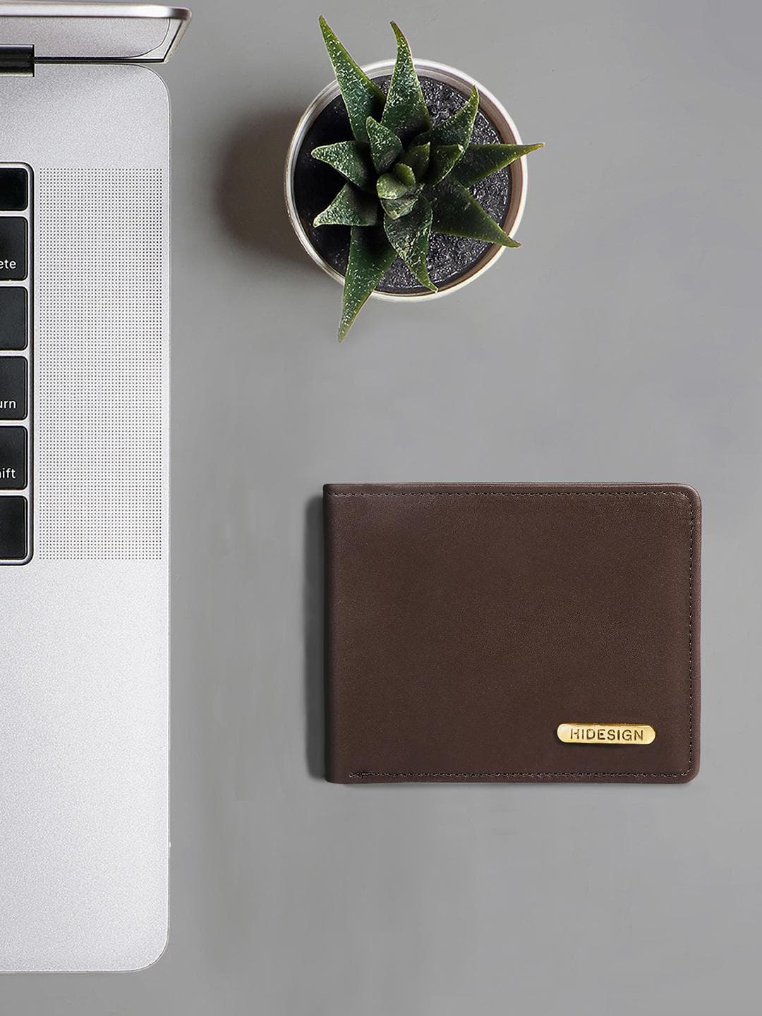 Hidesign Men Brown Solid Two Fold Leather Wallet