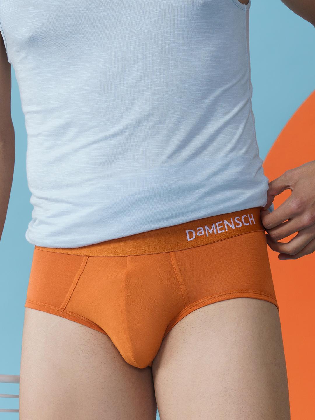 Buy DaMENSCH DEO SOFT Solid Premium Egyptian Cotton Modal Blend Briefs - - Apparel for Men