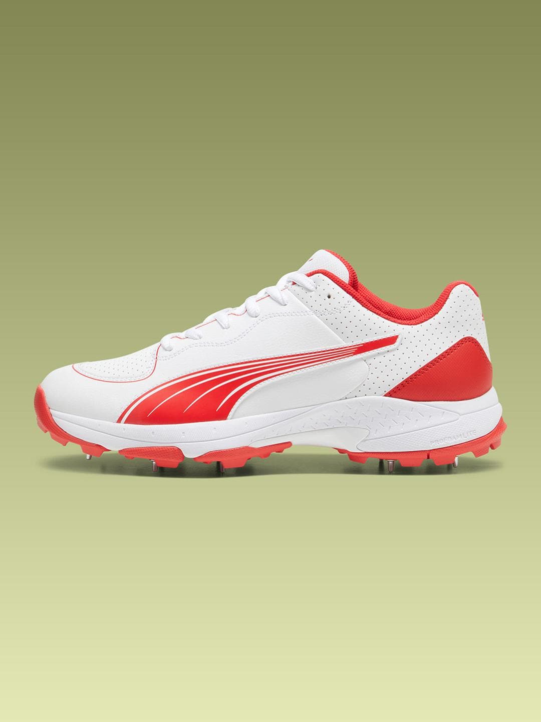 Buy Puma PUMA Spike 24.2 Cricket Shoes - - Footwear for Unisex