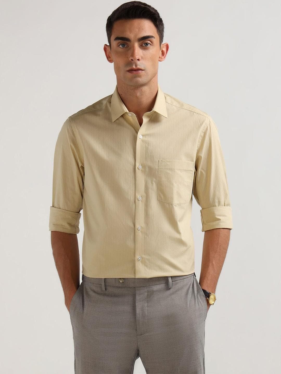 Arrow Men Slim Fit Striped Formal Shirt
